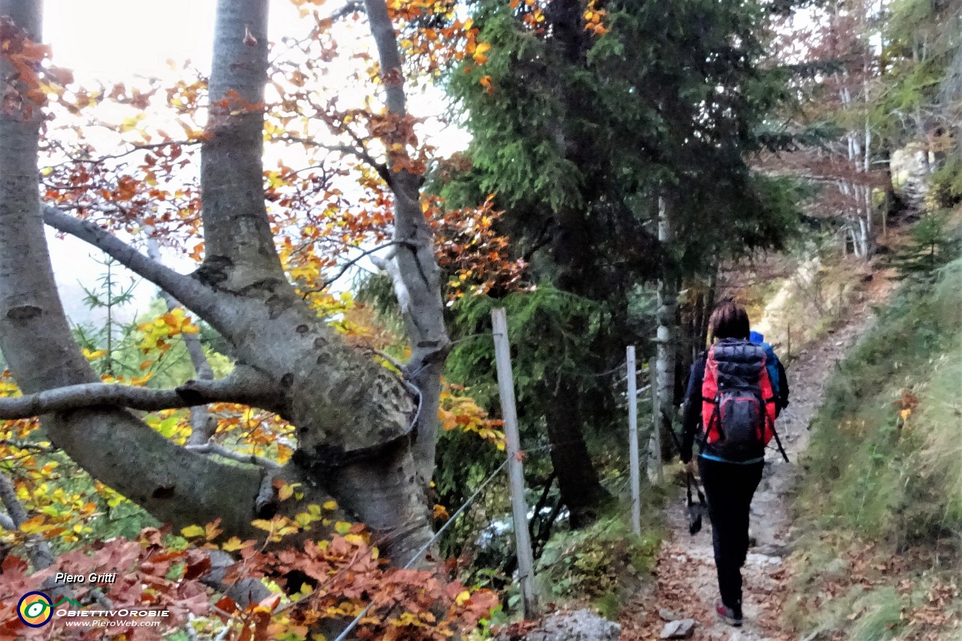 10 Colori d'autunno.JPG